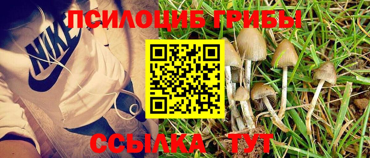 Галлюциногенные грибы прущие грибы Саянск