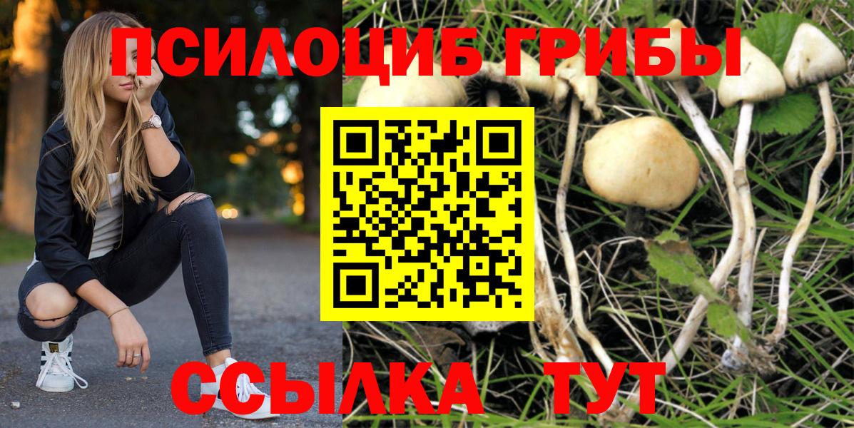 Саянск  Псилоцибиновые грибы Psilocybine cubensis  Вход с VPN 